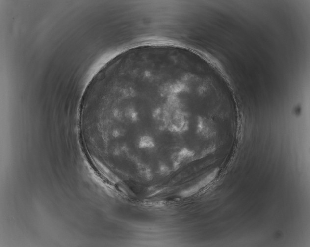 X0000116851231201001051459