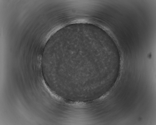 X0000116851233201001051459