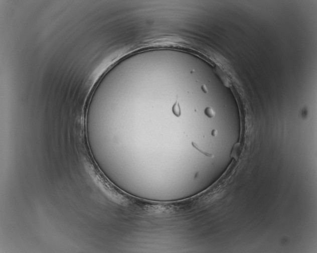 X0000116851234201001051459