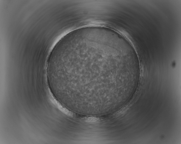 X0000116851235201001051459