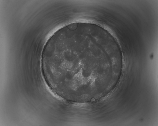 X0000116851237201001051459