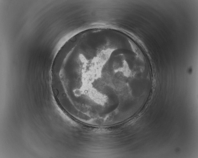 X0000116851239201001051459