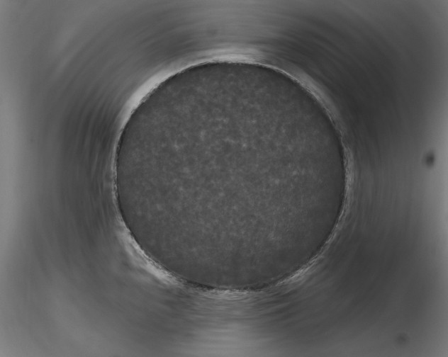 X0000116851240201001051459