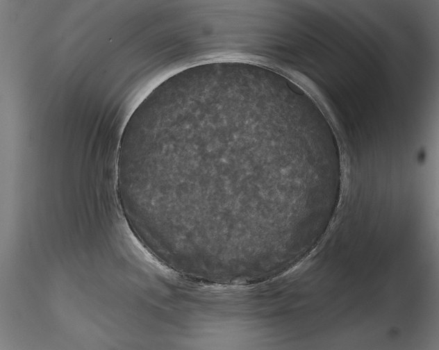 X0000116851244201001051459