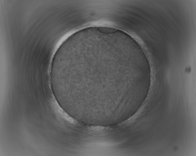 X0000116851248201001051459