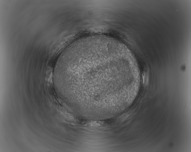 X0000116851251201001051459