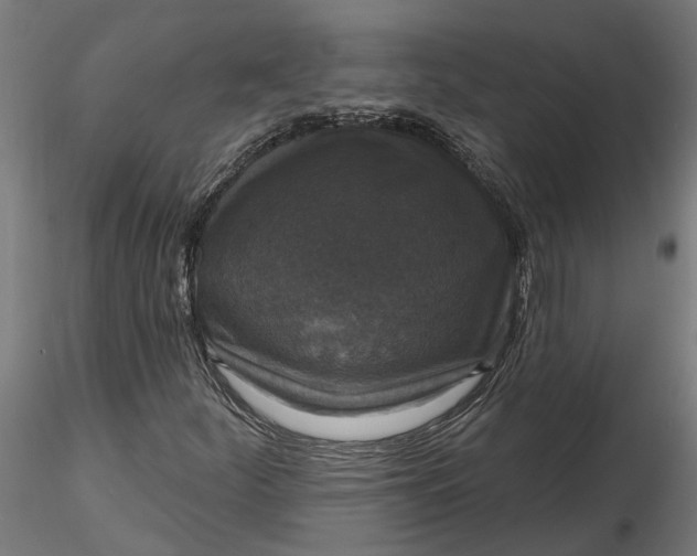 X0000116851252201001051459