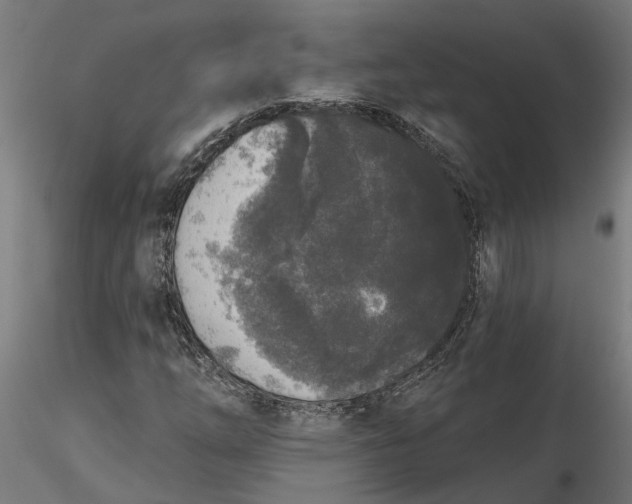 X0000116851254201001051459