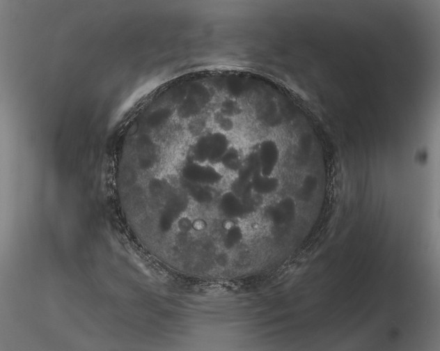X0000116851255201001051459
