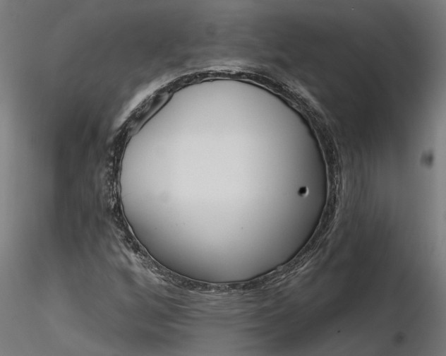 X0000116851256201001051459