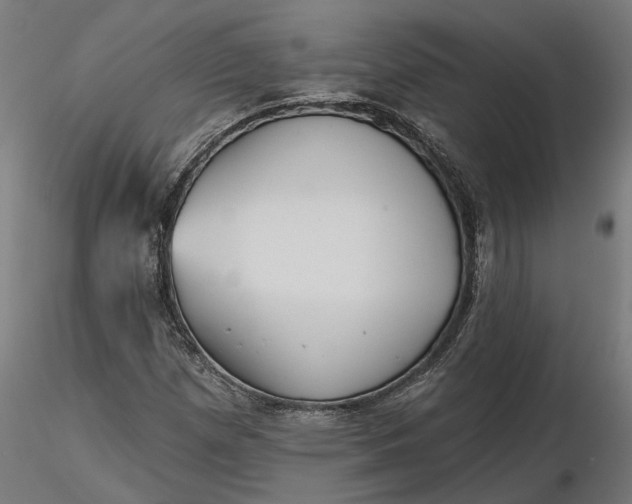 X0000116851257201001051459