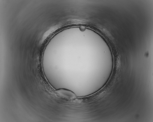 X0000116851261201001051459