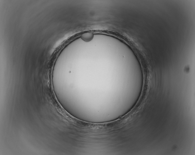 X0000116851262201001051459