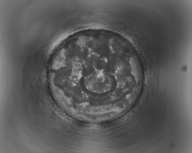 X0000116851263201001051459