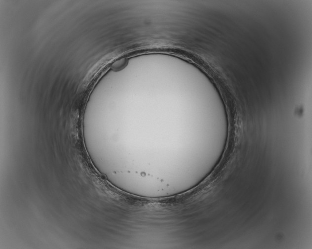 X0000116851265201001051459