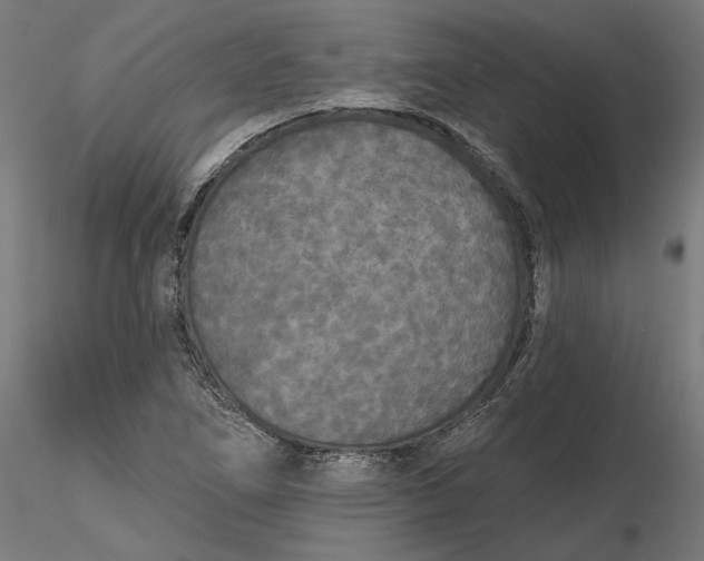 X0000116851266201001051459