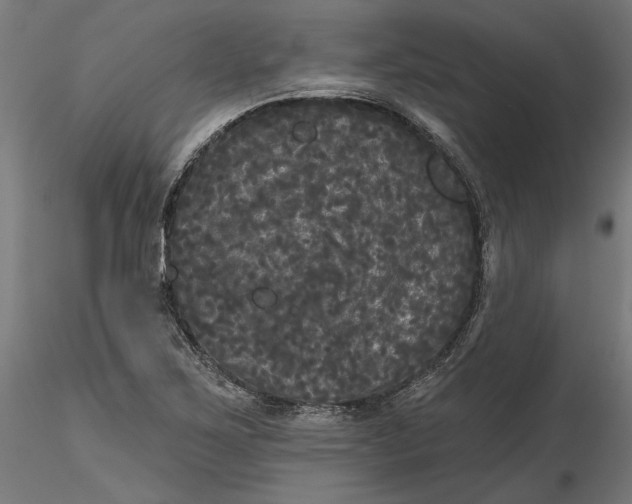X0000116851267201001051458