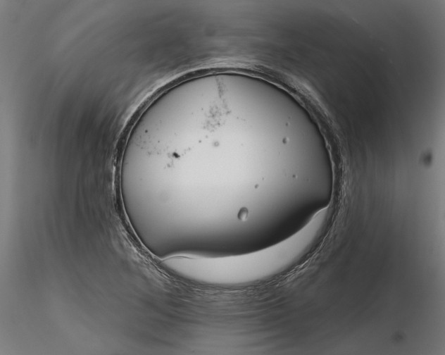X0000116851268201001051458