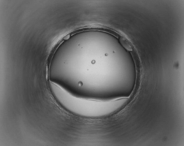 X0000116851269201001051458