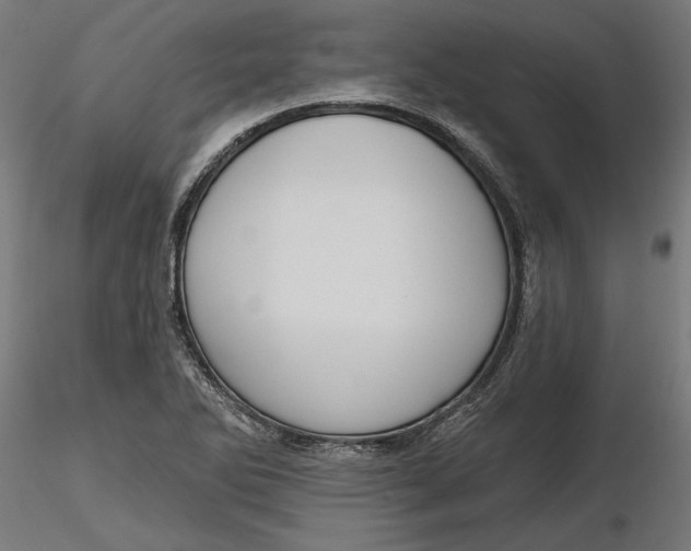 X0000116851270201001051458