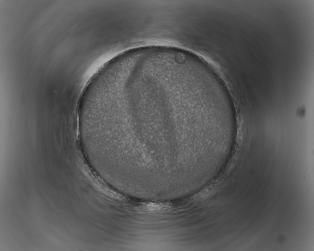 X0000116851271201001051458