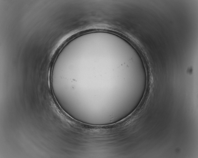 X0000116851272201001051458