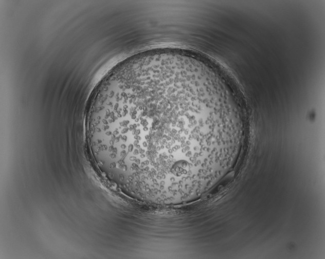 X0000116851274201001051458