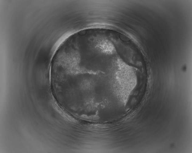 X0000116851275201001051458