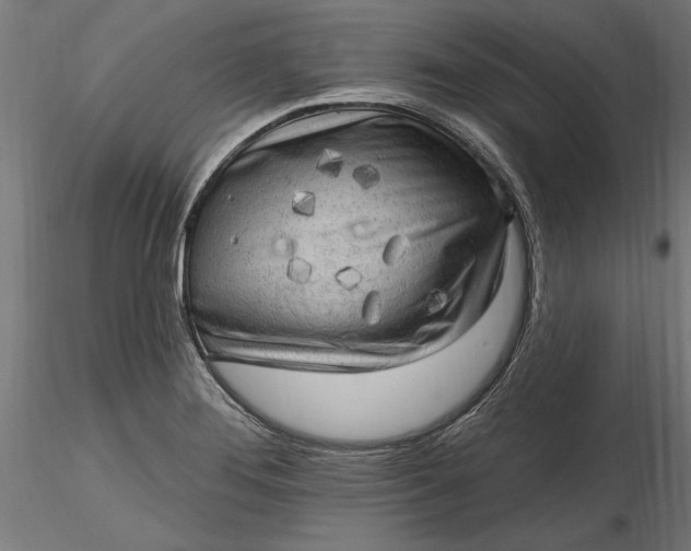 X0000116851276201001051458