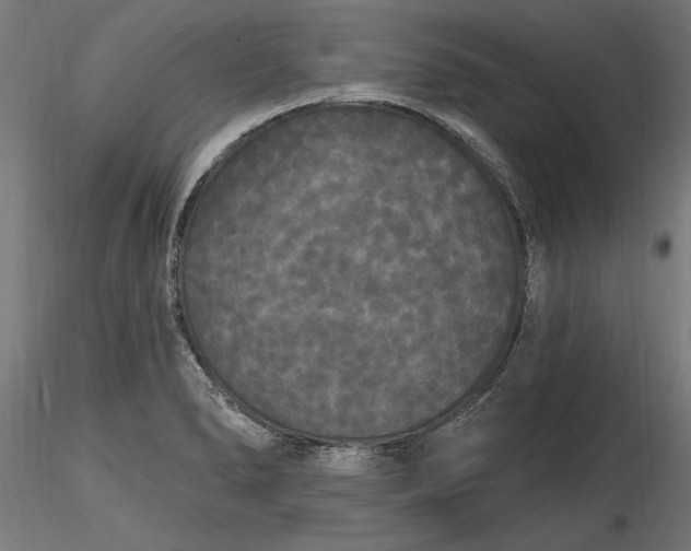 X0000116851278201001051458