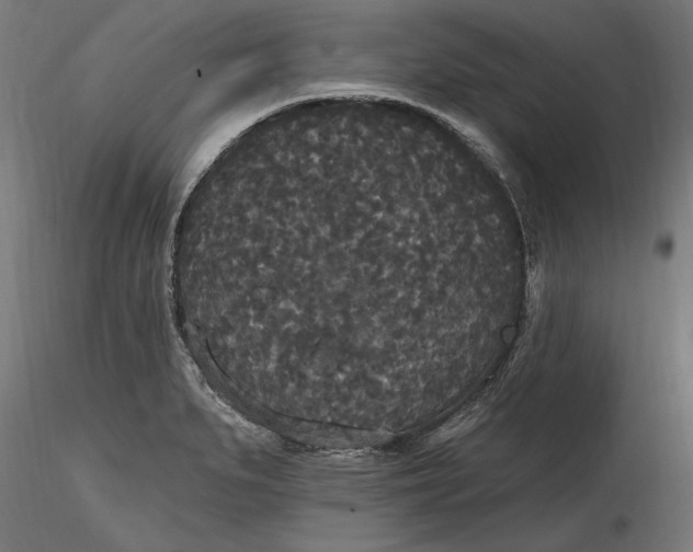 X0000116851279201001051458