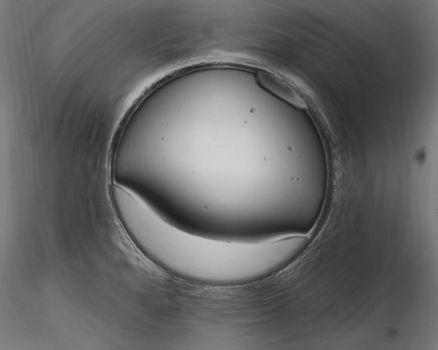 X0000116851280201001051458