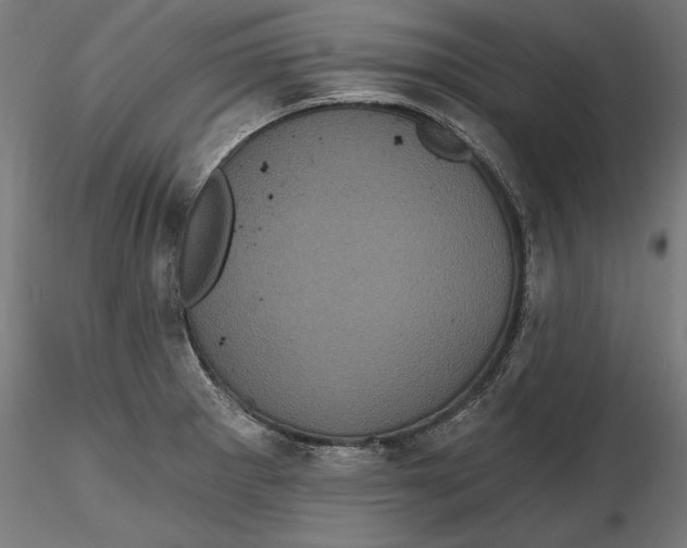 X0000116851281201001051458