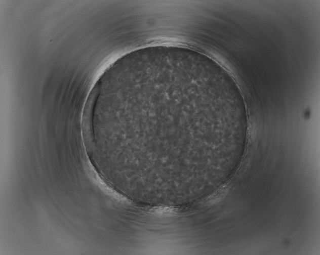 X0000116851283201001051458