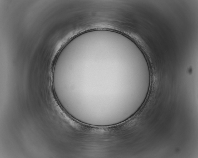 X0000116851286201001051458