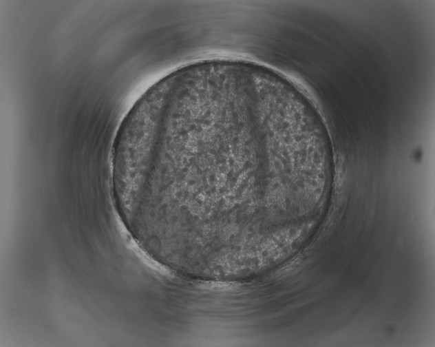 X0000116851287201001051458