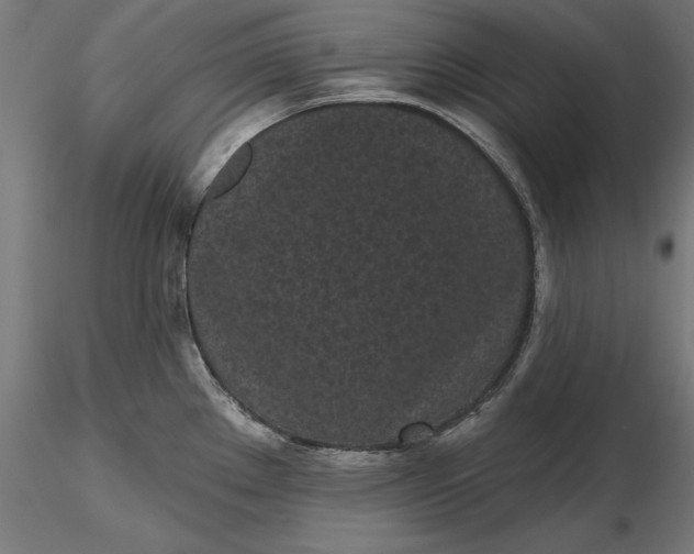 X0000116851289201001051458