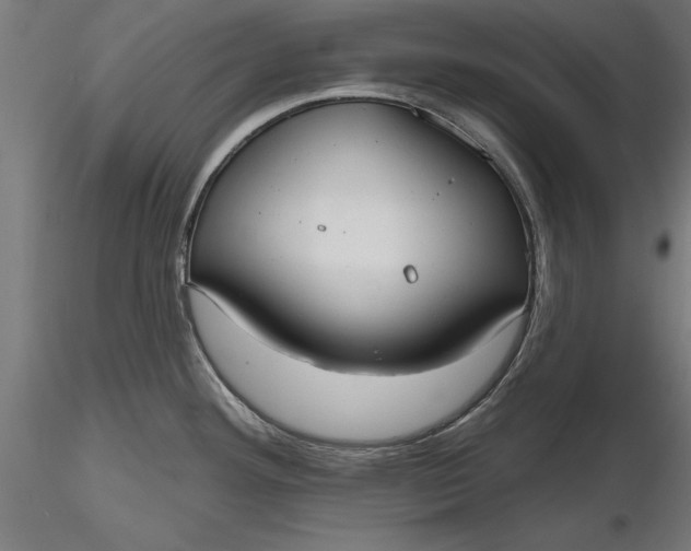 X0000116851292201001051458