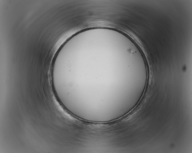 X0000116851293201001051458