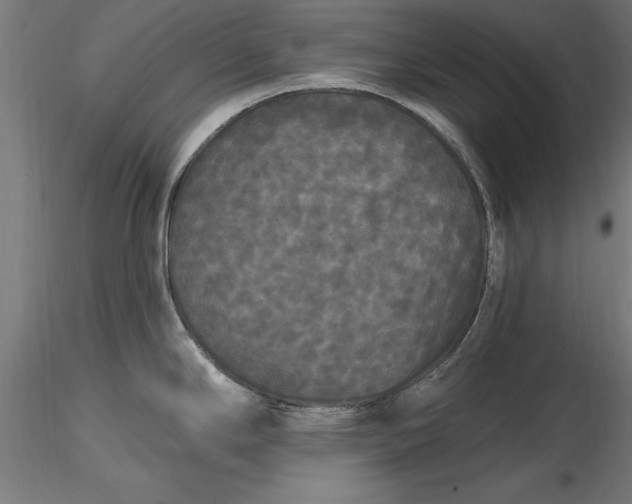 X0000116851294201001051458