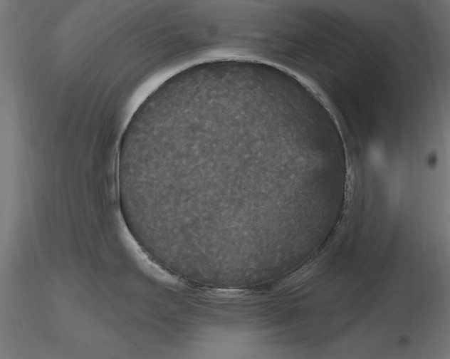 X0000116851295201001051458