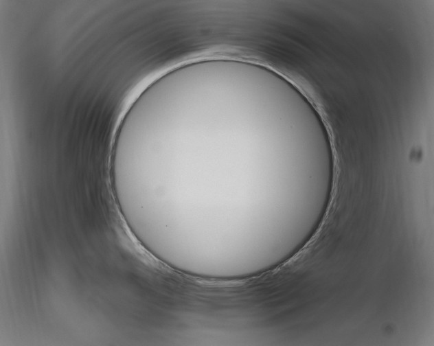 X0000116851296201001051458