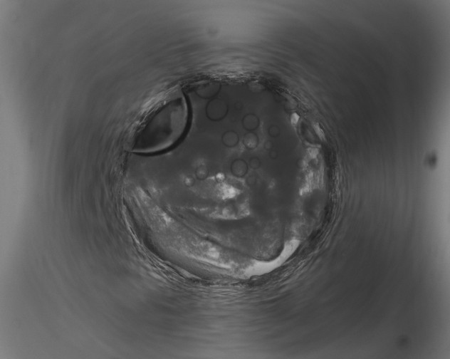X0000116851297201001051457