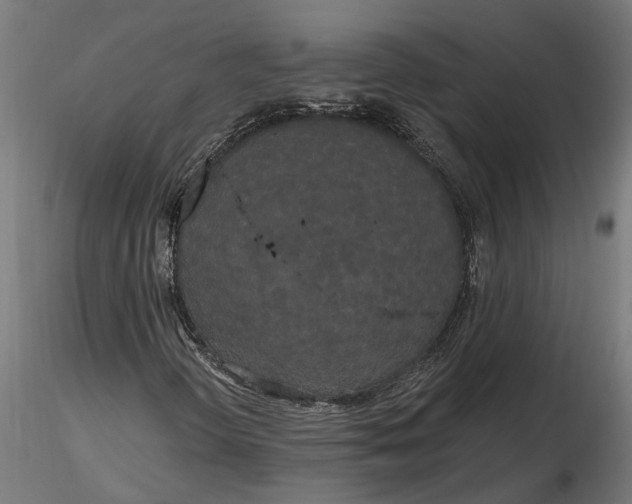 X0000116851298201001051457