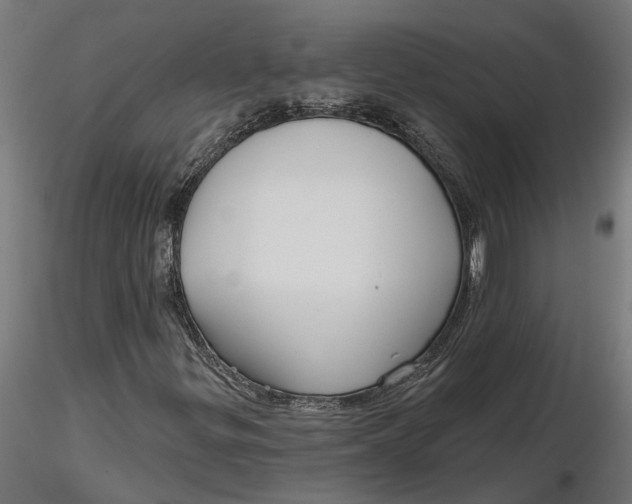 X0000116851299201001051457