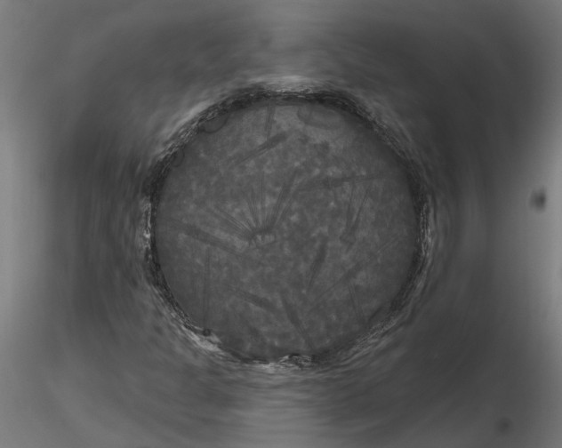 X0000116851301201001051458