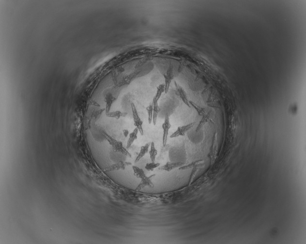 X0000116851302201001051458