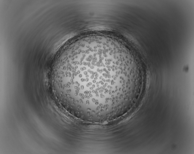X0000116851305201001051458