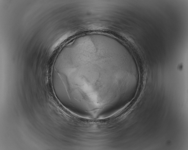 X0000116851306201001051458