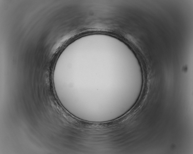 X0000116851307201001051458
